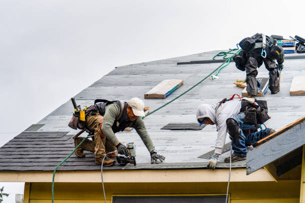 Professional Roofing technician working in Fischer, TX